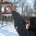 01 Допоможи зимуючим птахам