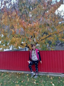 16 Барви осені