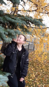 33 Барви осені