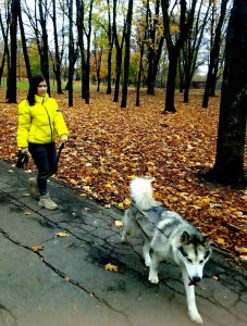 36 Барви осені