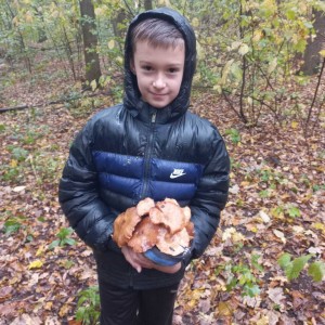 37 Барви осені