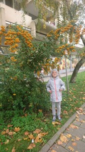 59 Барви осені