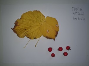 09 Осіння фантазія