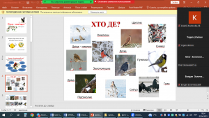 03 вікторина