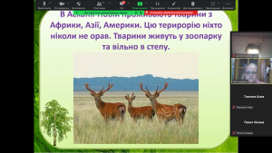 11 онлайн-подорож