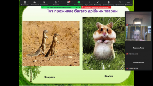 13 онлайн-подорож