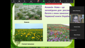 14 онлайн-подорож