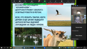 15 онлайн-подорож