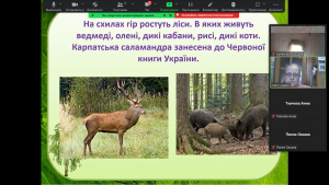 20 онлайн-подорож