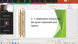 27 вікторина