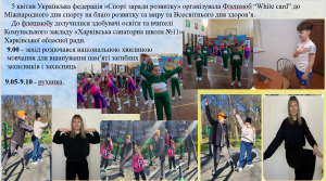 Снимок экрана 2024-04-17 162549