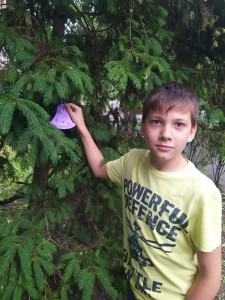 зображення_viber_2024-06-05_20-23-07-237