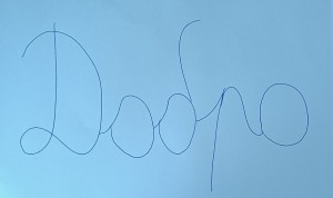66