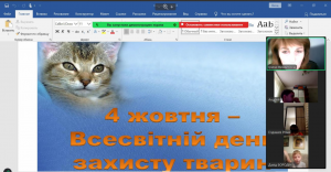 Снимок экрана 2024-10-11 220451