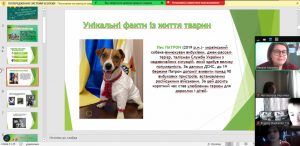 Снимок экрана 2024-10-11 221033