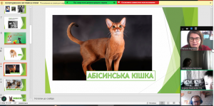 Снимок экрана 2024-10-11 221055