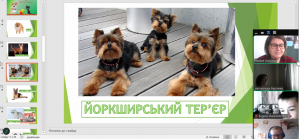 Снимок экрана 2024-10-11 221102