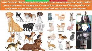изображение_viber_2024-10-10_19-29-45-867