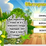 изображение_viber_2024-10-11_11-49-58-506