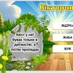 изображение_viber_2024-10-11_11-50-03-805