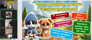 изображение_viber_2024-10-11_11-50-18-737