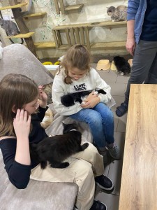 кот3