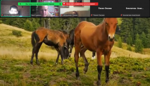 Screenshot_8