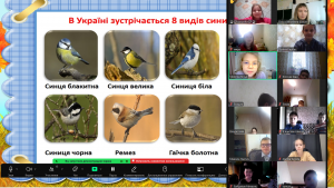 Снимок экрана 2024-11-12 123356