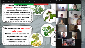 Снимок экрана 2024-11-22 115654