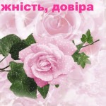 зображення_viber_2025-02-14_14-03-40-913