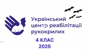 Снимок экрана 2025-06-11 104449