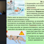Снимок экрана (2449)