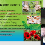 image_2025-05-16_10-41-21
