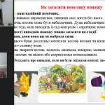 Снимок экрана (2561)