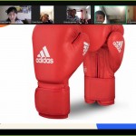 0-02-05-084718dcab13825b9aecdc79baf5515ff1829318428a3f0f8d1463485b2133a3_66e58220050b5eae