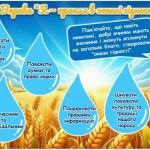 0-02-05-136d4a121bc8e231114b8284287753c0ed1f2e6e02f35834a35204ff35aa290f_aea7facc5647a3a4