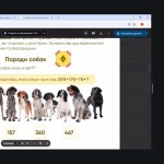 0-02-05-66b064c99fed1e1aba220c058f28171e3b135be3527dfdf1da72777919663366_6ed99881fa7c0dbf