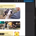 0-02-05-871427fd449e0f3757ecaa9c115d02074b1a617403f15dac2fdc2c4e8a2cd515_fb41b27ecf1209e