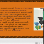 image_2025-09-11_09-31-44