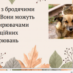 image_2025-10-23_11-35-34