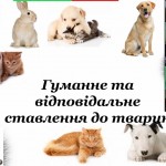 photo_2025-10-17_13-16-53