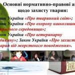 photo_2025-10-17_13-17-00