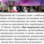 photo_2025-10-17_13-17-05