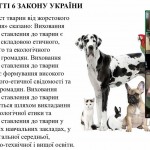 photo_2025-10-17_13-17-09