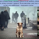 photo_2025-10-17_13-17-21