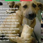 photo_2025-10-17_13-17-27