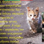 photo_2025-10-17_13-17-30