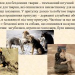 photo_2025-10-17_13-17-34