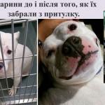 photo_2025-10-17_13-17-39