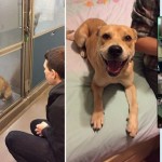 photo_2025-10-17_13-17-43